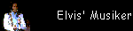Elvis' Musiker